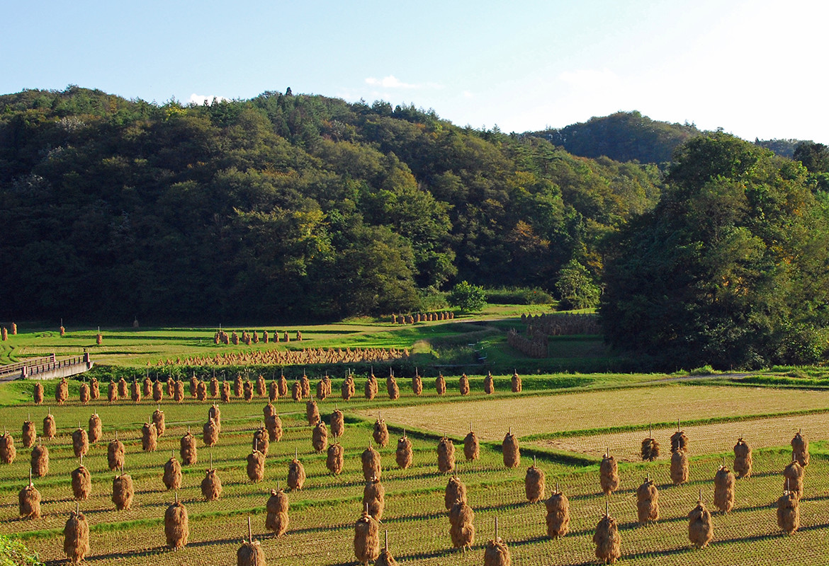 Hiraizumi, a town of the World Heritage